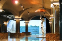 Museum of Aquatic Nuances